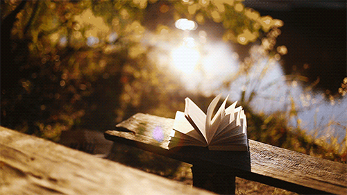 pretty-book-bench-nature-water-outdoors-animated-gif